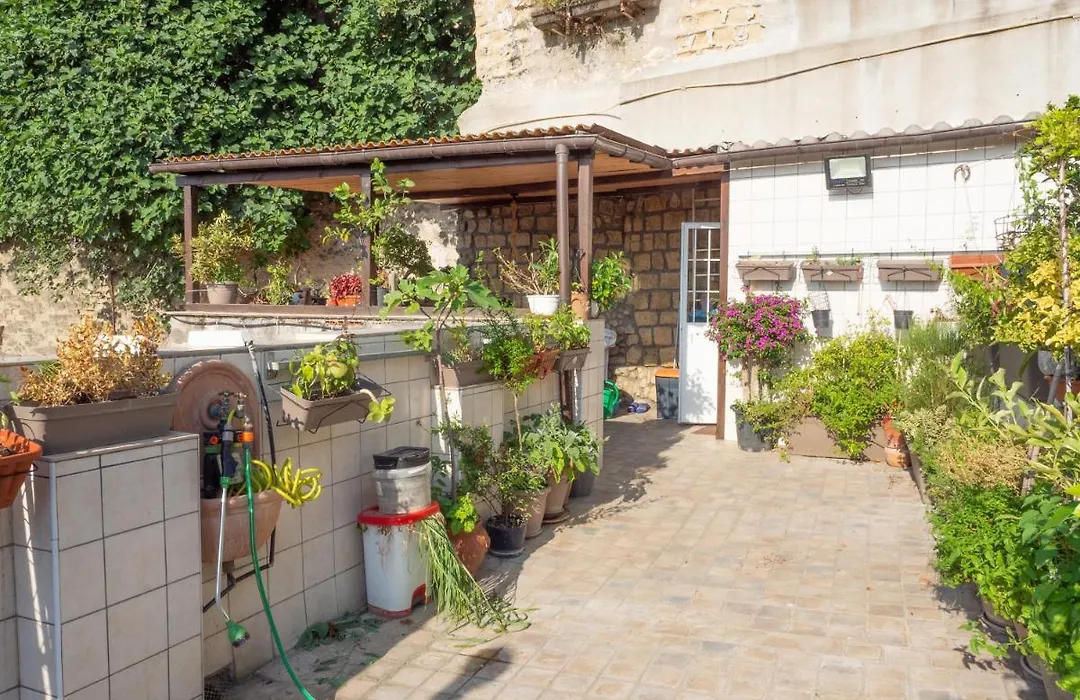 The Heart Of Naples - Neapolitana-1